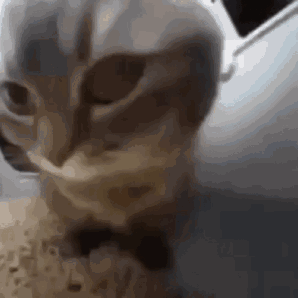 2E4A62EDF881C7D16F958F24CF0FD212.gif