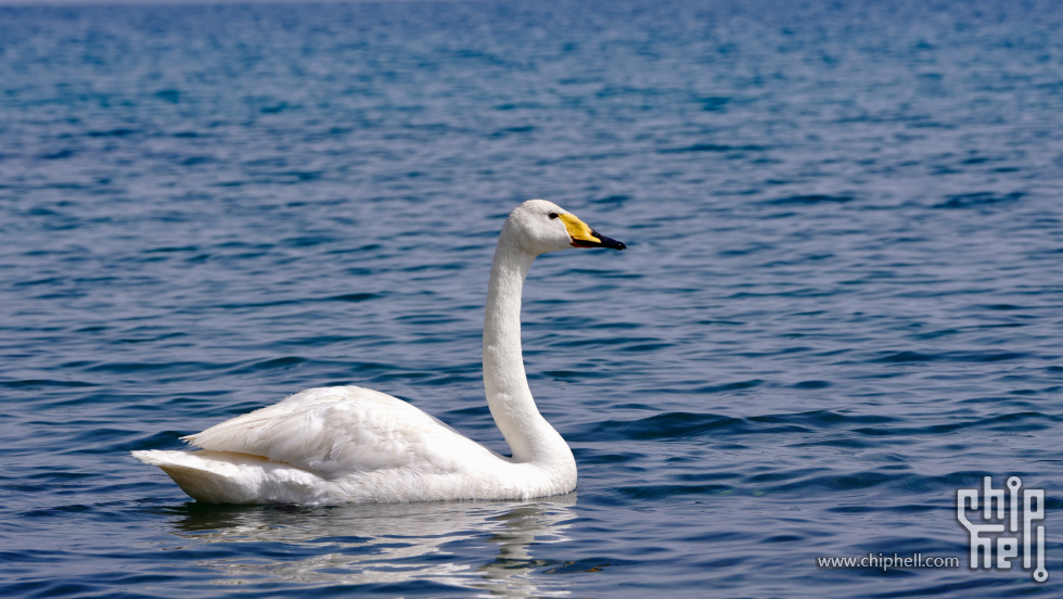 DSC07977.jpg