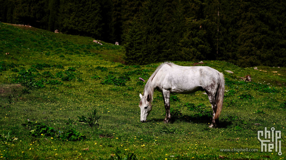 DSC0E8589.jpg