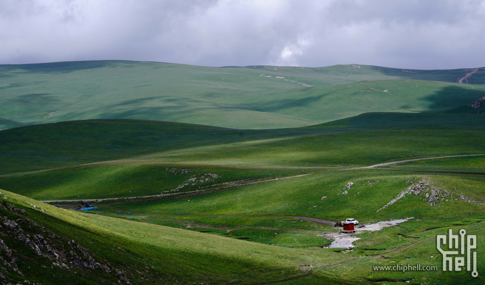 DSC08867.jpg