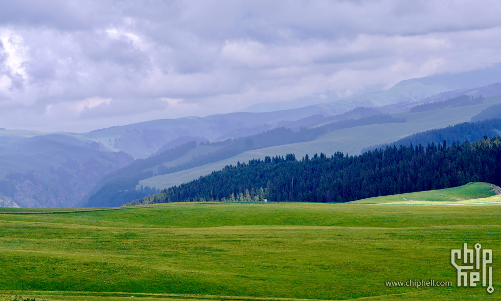 DSC0E8944.jpg