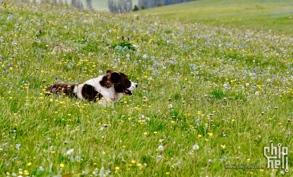 DSC0E8958.jpg