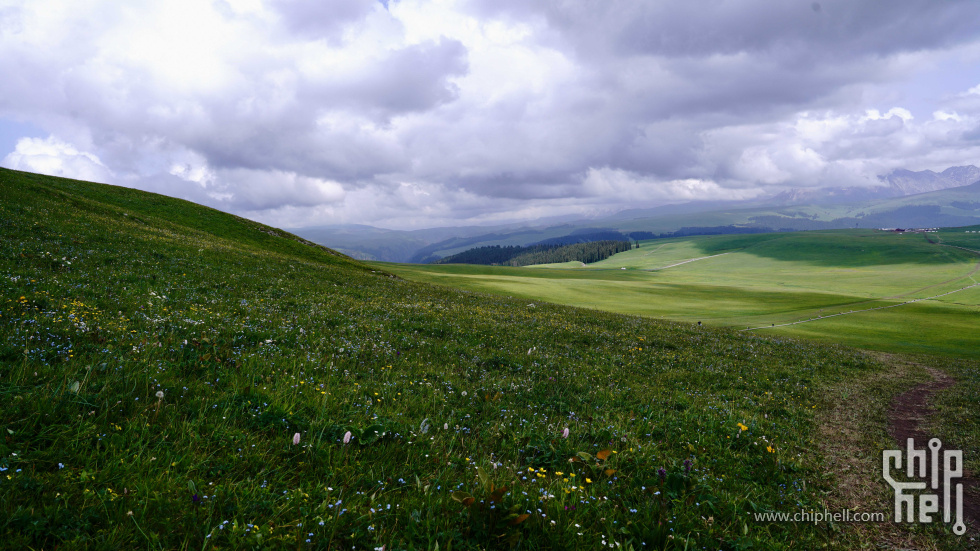 DSC08936.jpg