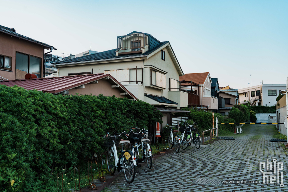 DSC09140.jpg