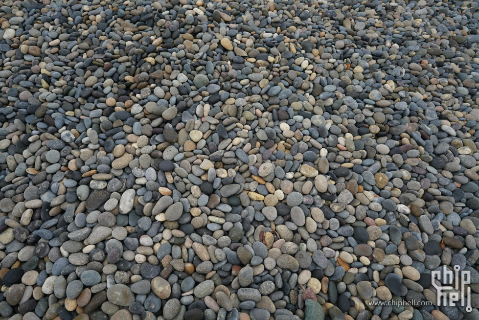 DSC07851.JPG