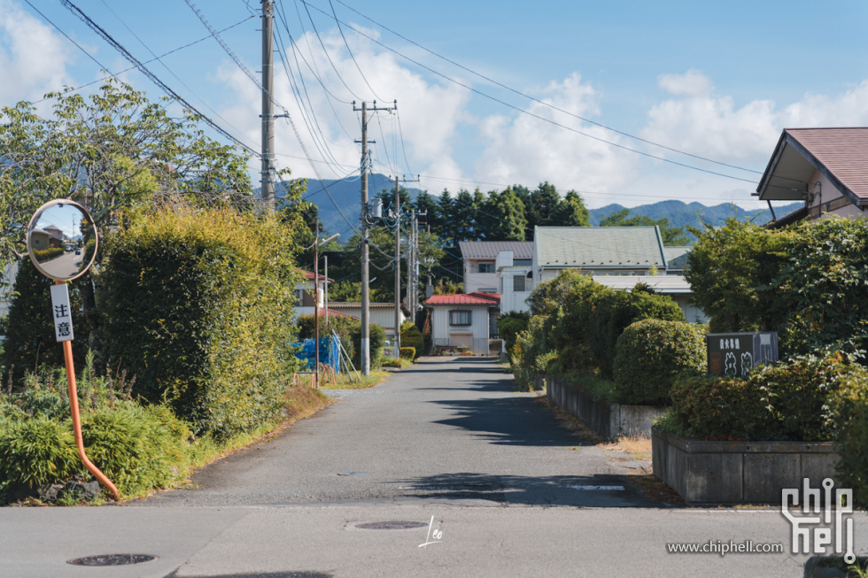 DSC08250.jpg