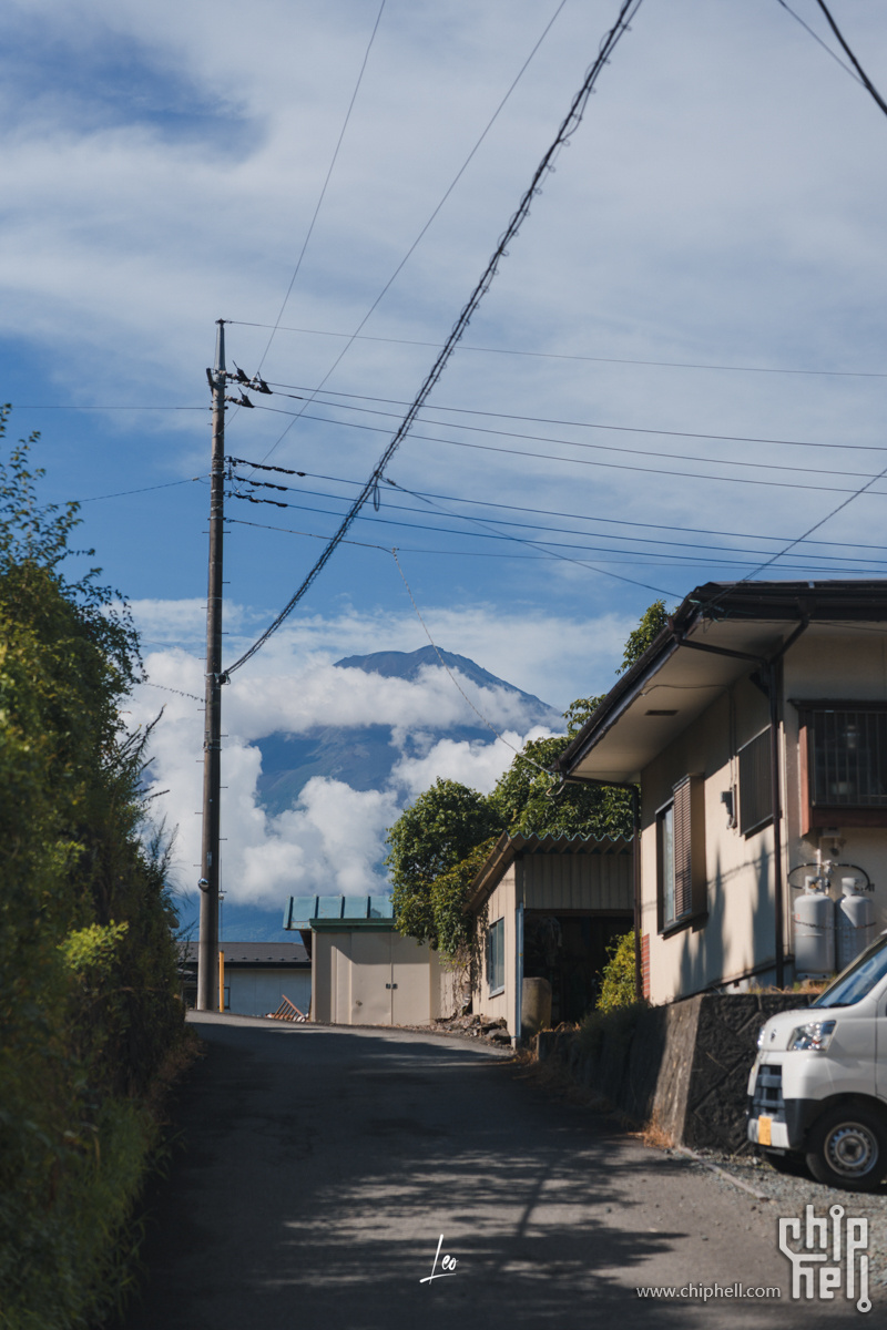 DSC08253.jpg