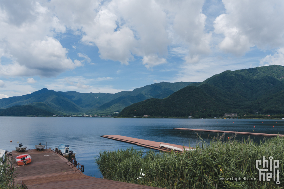 DSC08390.jpg