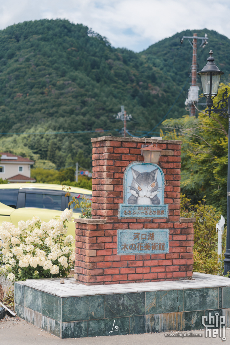 DSC08453.jpg