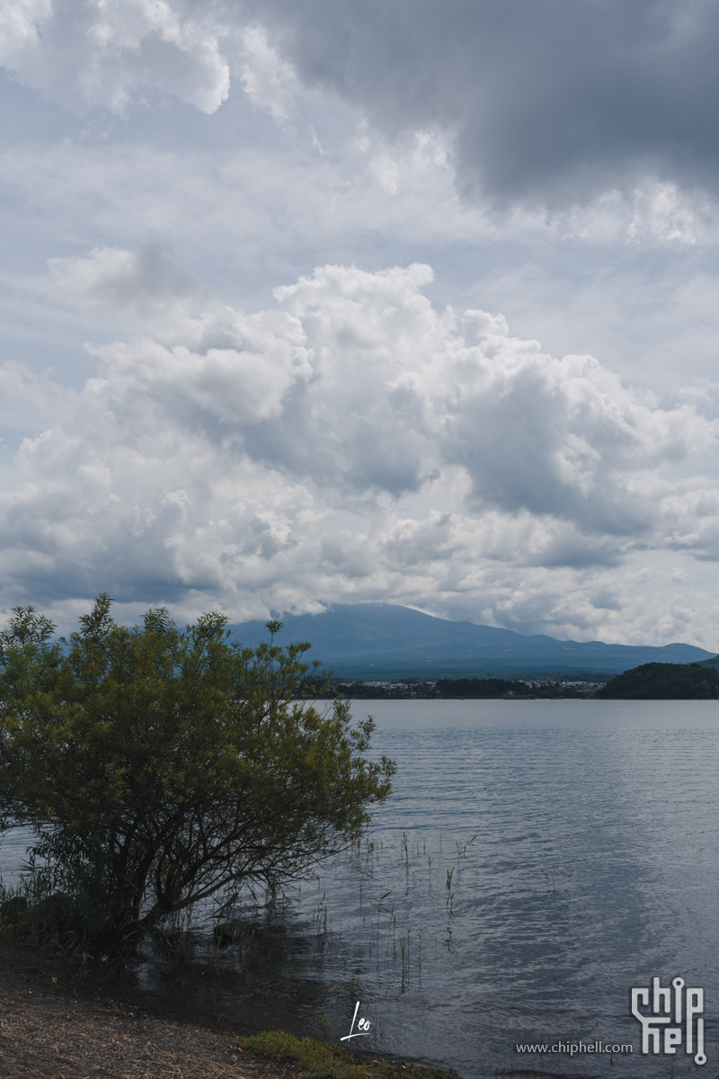 DSC08532.jpg