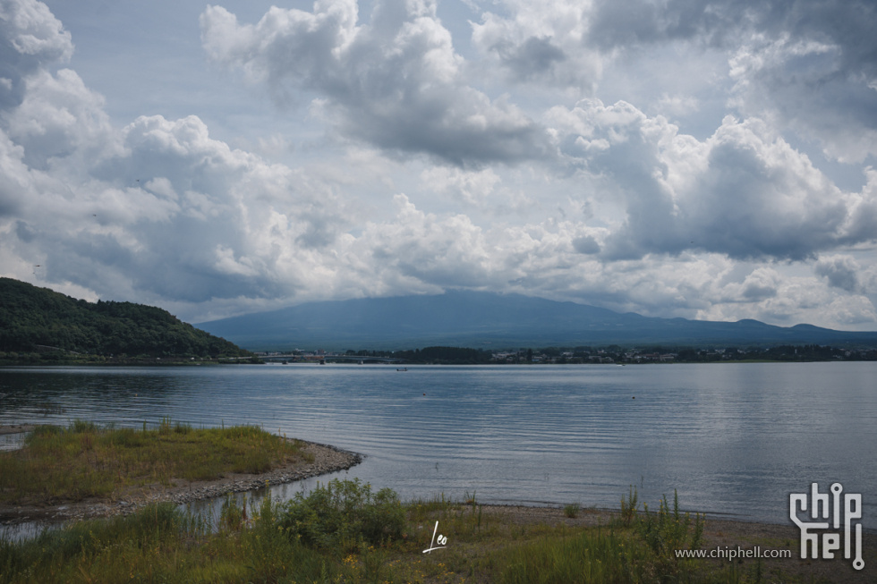 DSC08552.jpg