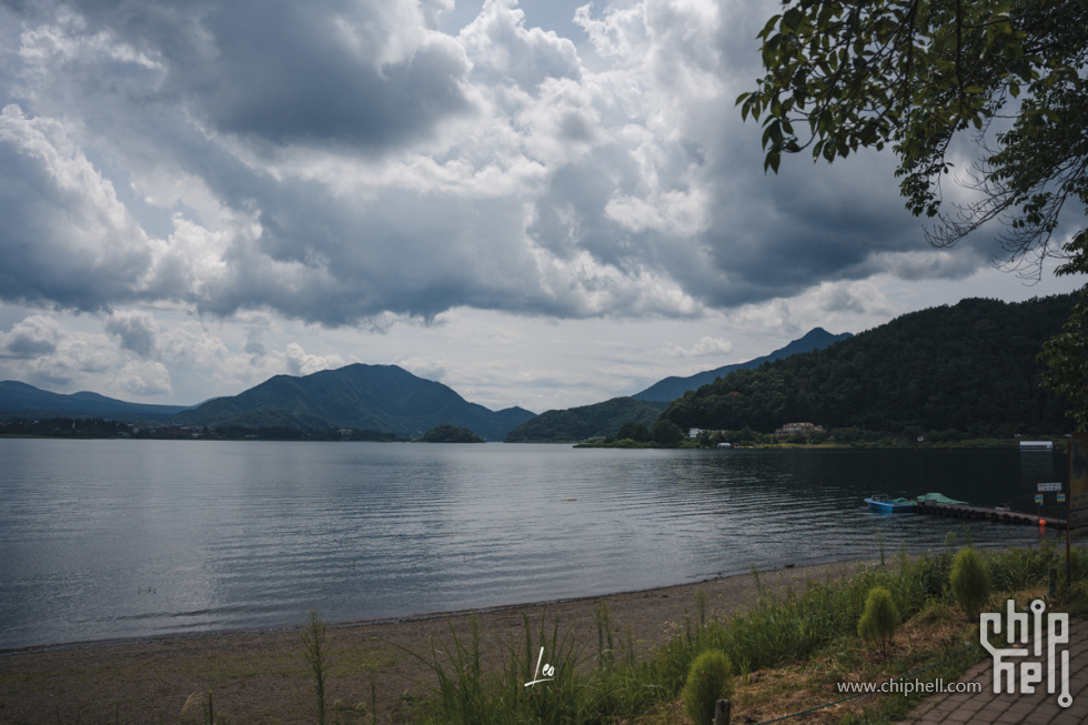 DSC08553.jpg