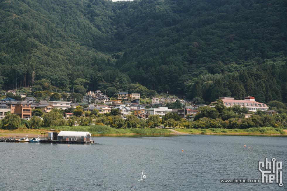 DSC08594.jpg