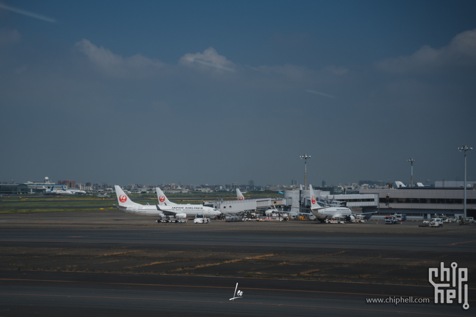 DSC08878.jpg
