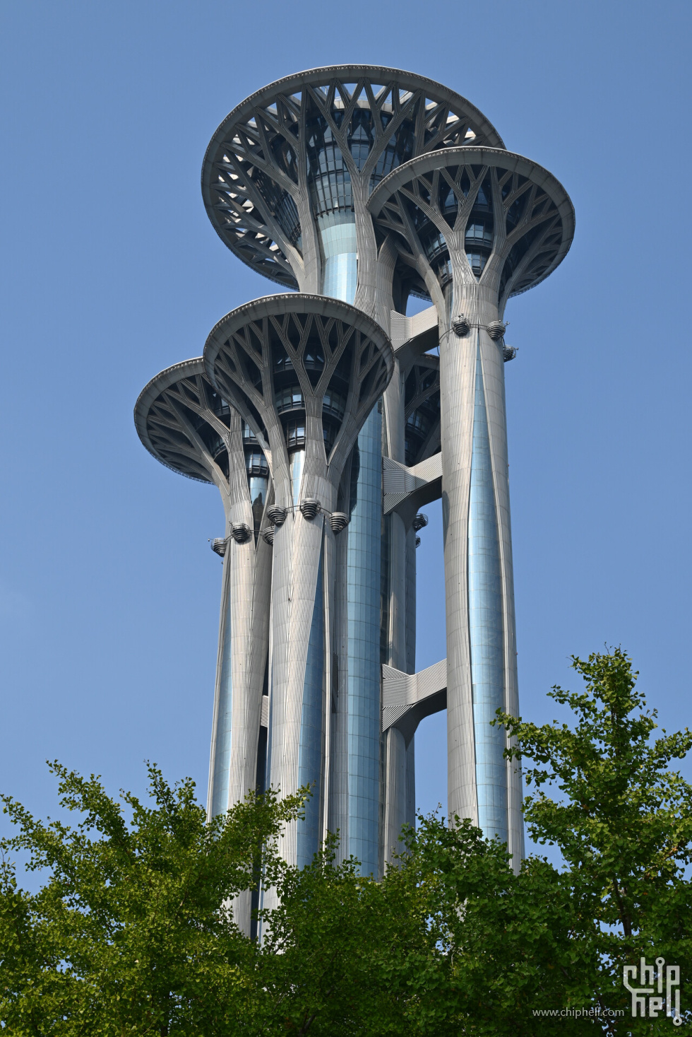 DSC_3794.JPG_compressed.JPEG