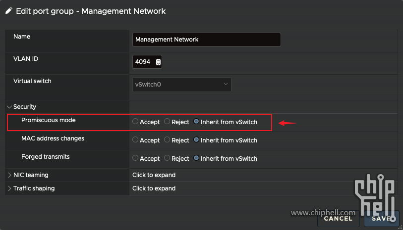 46.ESXi-vSwitch-PortGroup-Security-Promiscuous.png
