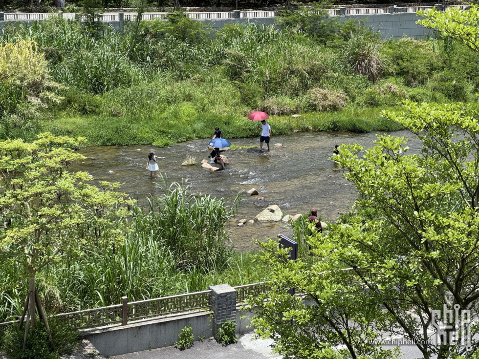 IMG_1933大.jpeg