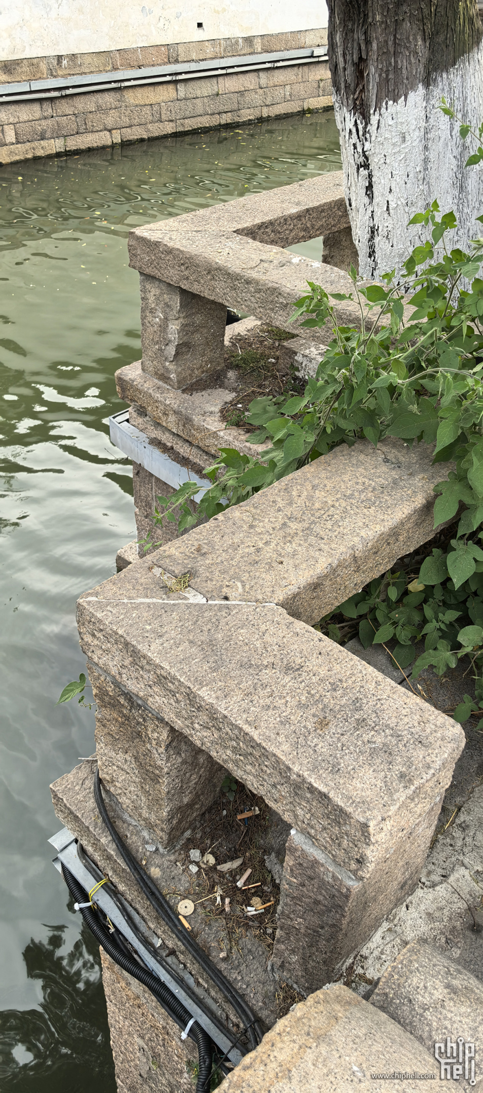 IMG_20250416_163318.jpg