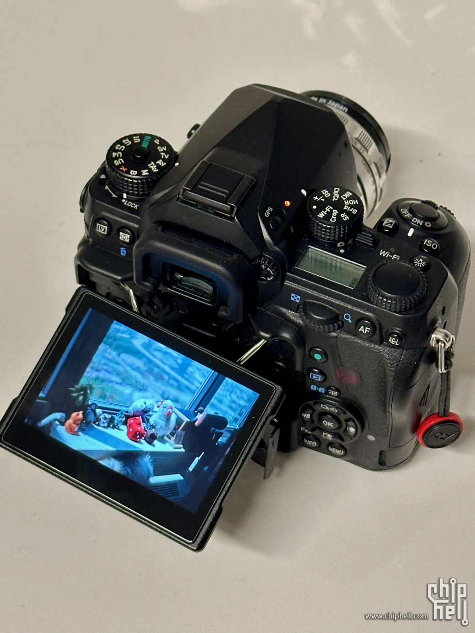 back-screen.jpeg