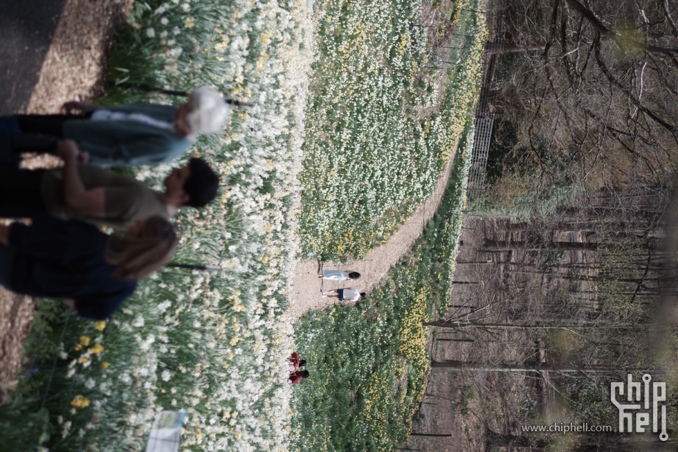 Pentax-K-1ii-0157.JPG