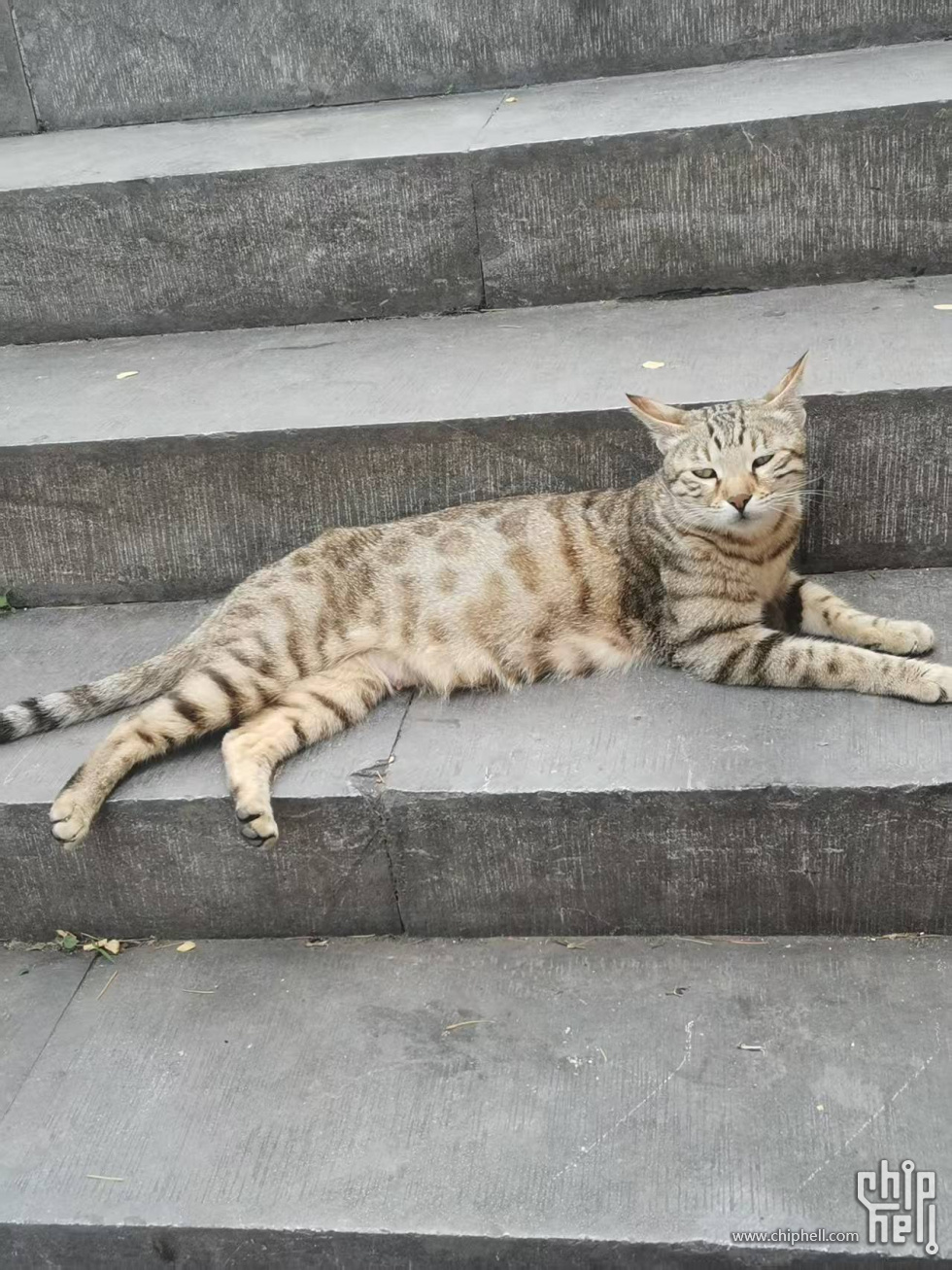 微信图片_20250621144048.jpg
