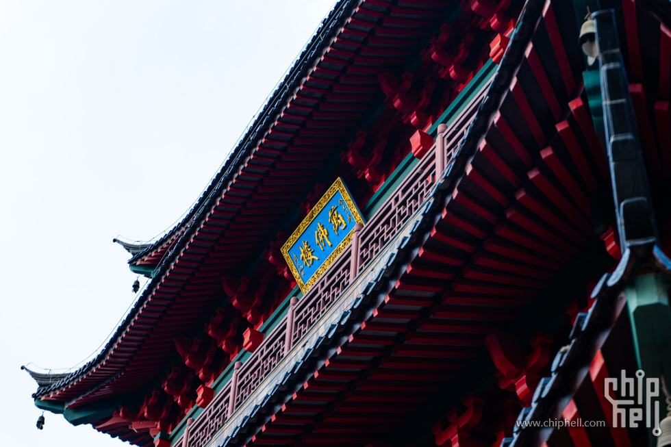 P1360438.jpg