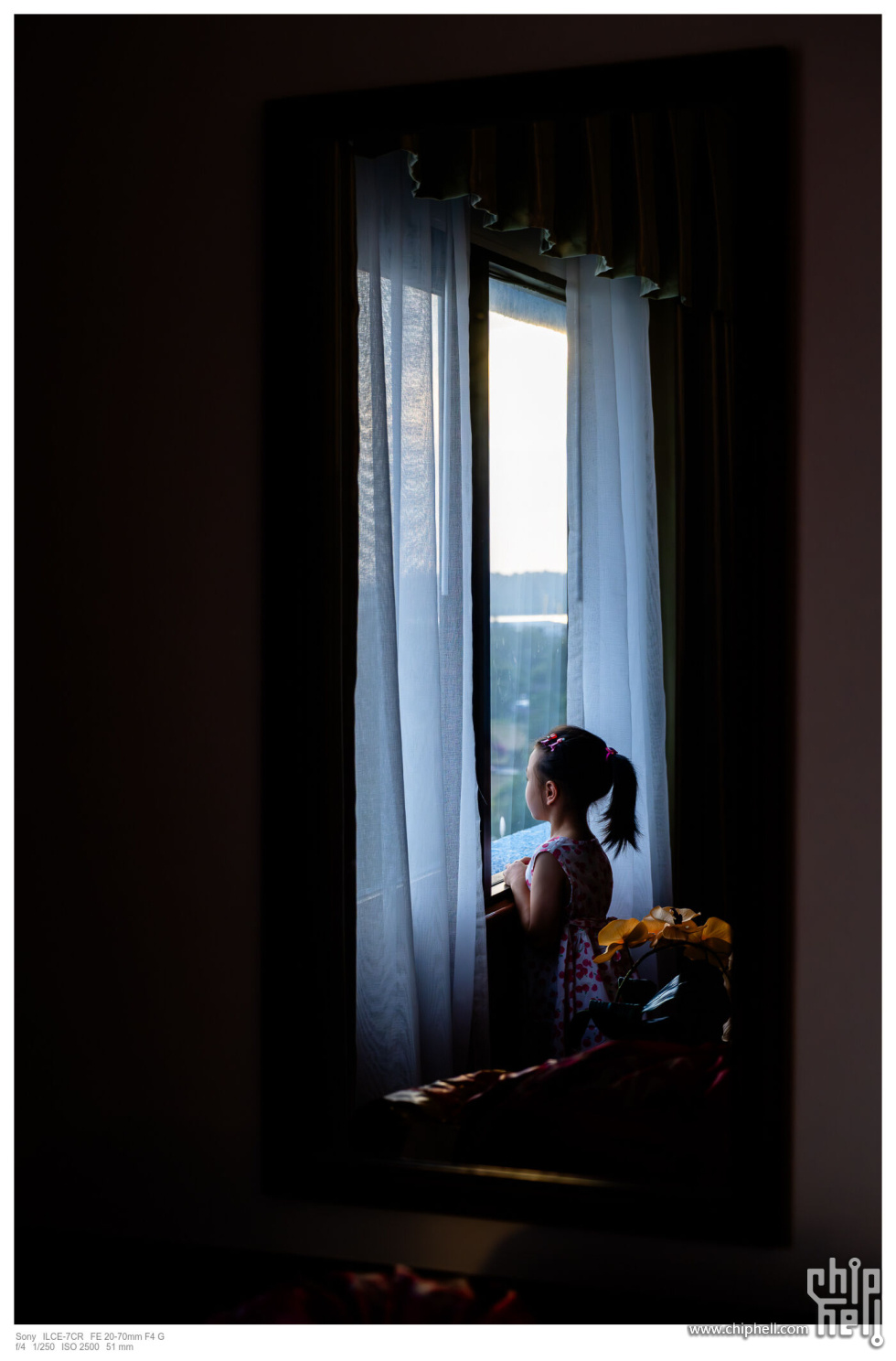 20240105-_A7C0248-Enhanced-NR.jpg