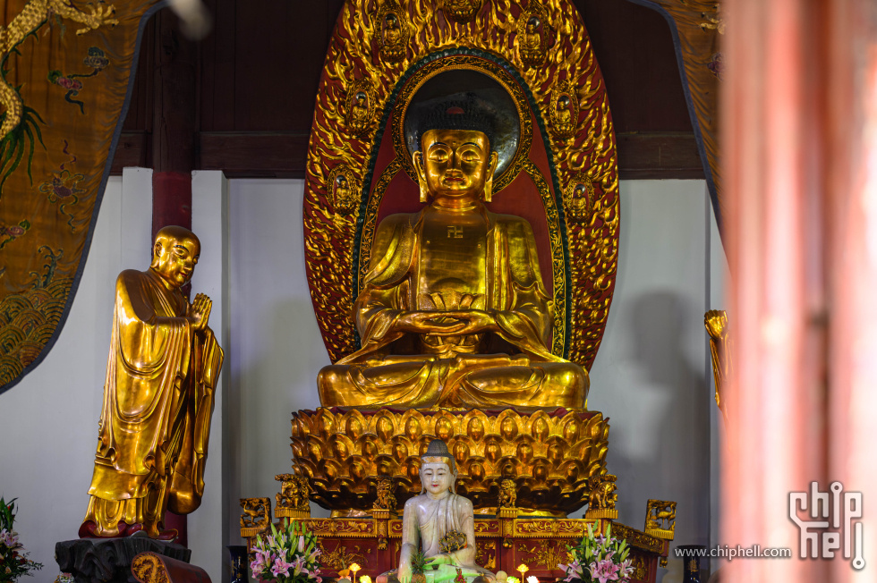 _CTK8151-已增强-降噪.jpg