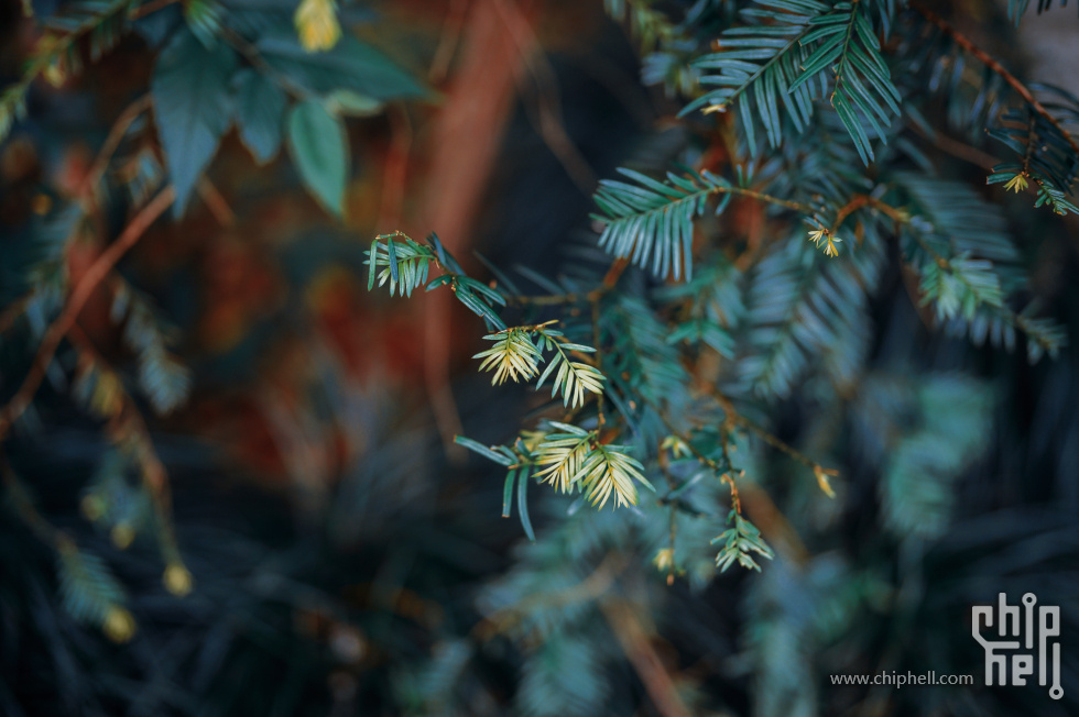 _CTK8219-2.jpg