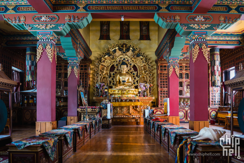 DSC04068-已增强-降噪.jpg