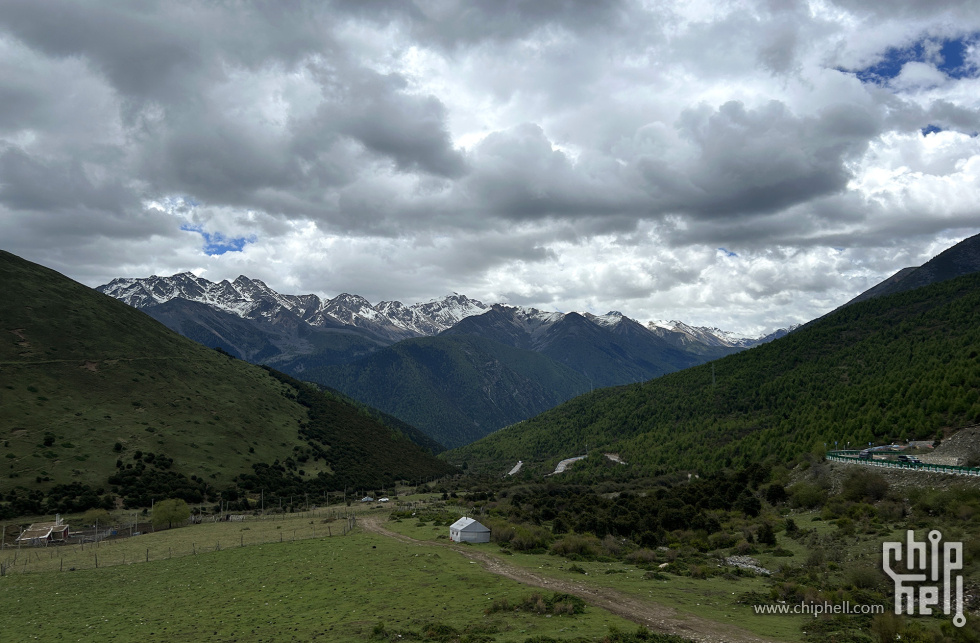 IMG_7505.jpg