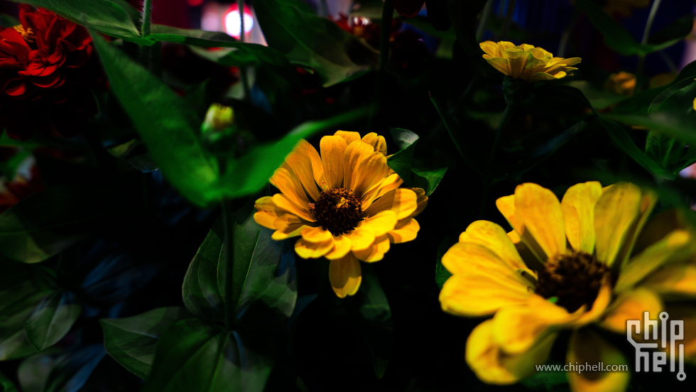 _1000423-已增强-NR-1.jpg