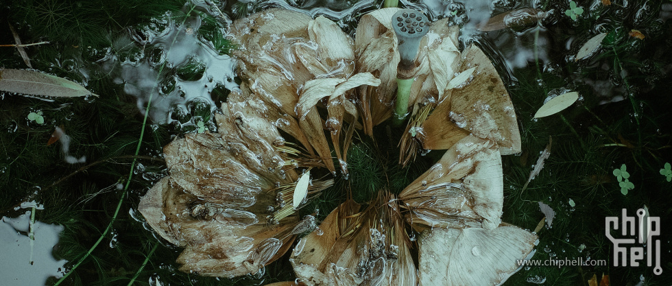 _R002887.jpg