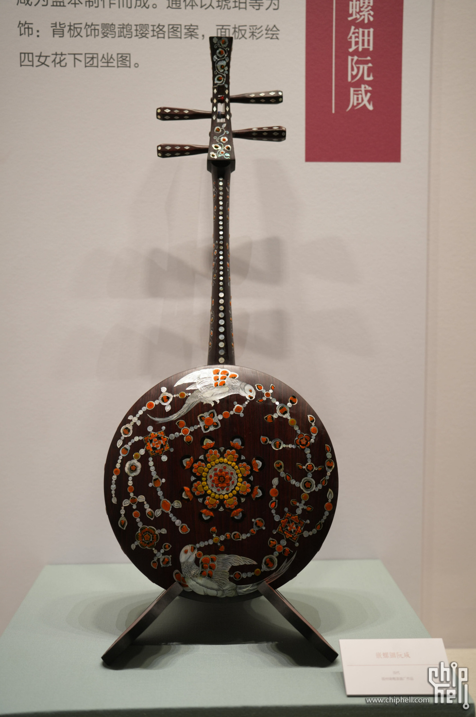 DSC07535.jpg