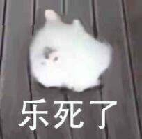 微信图片_20230613165534.jpg