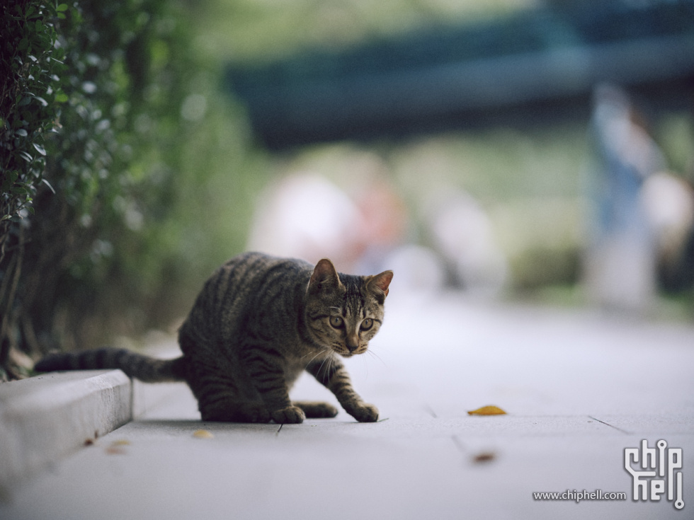 DSCF7628.jpg