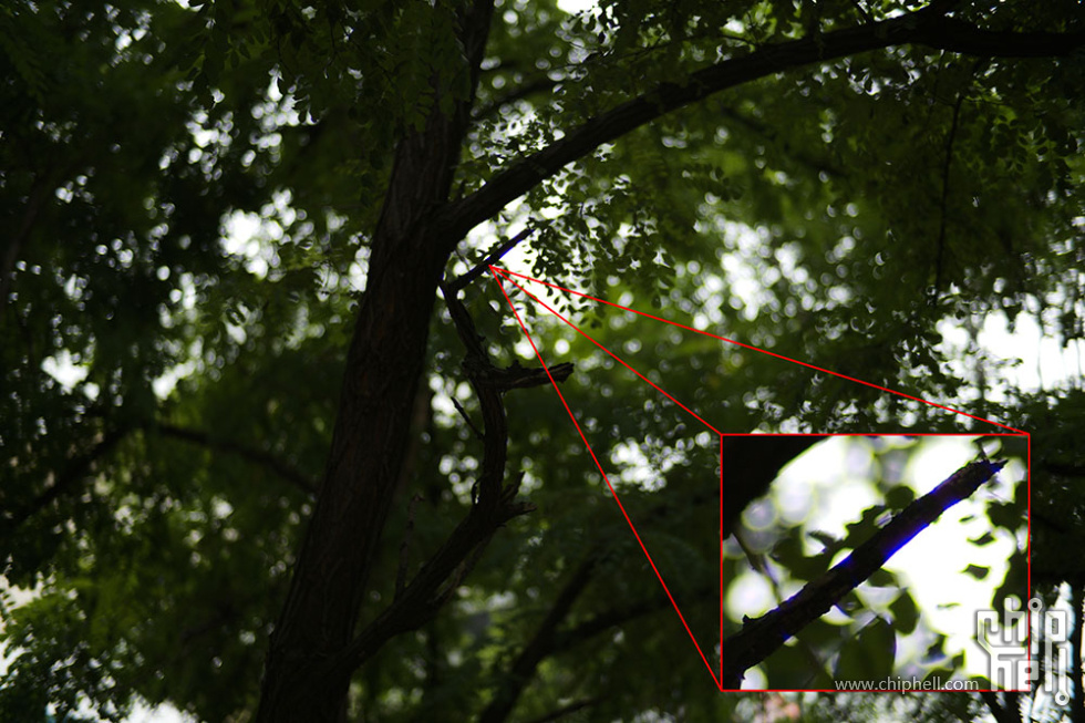 L1003173 拷贝.jpg