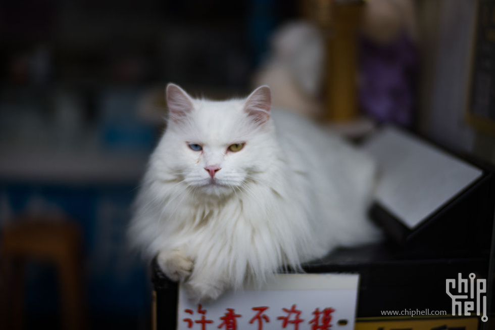 L1003438 拷贝.jpg