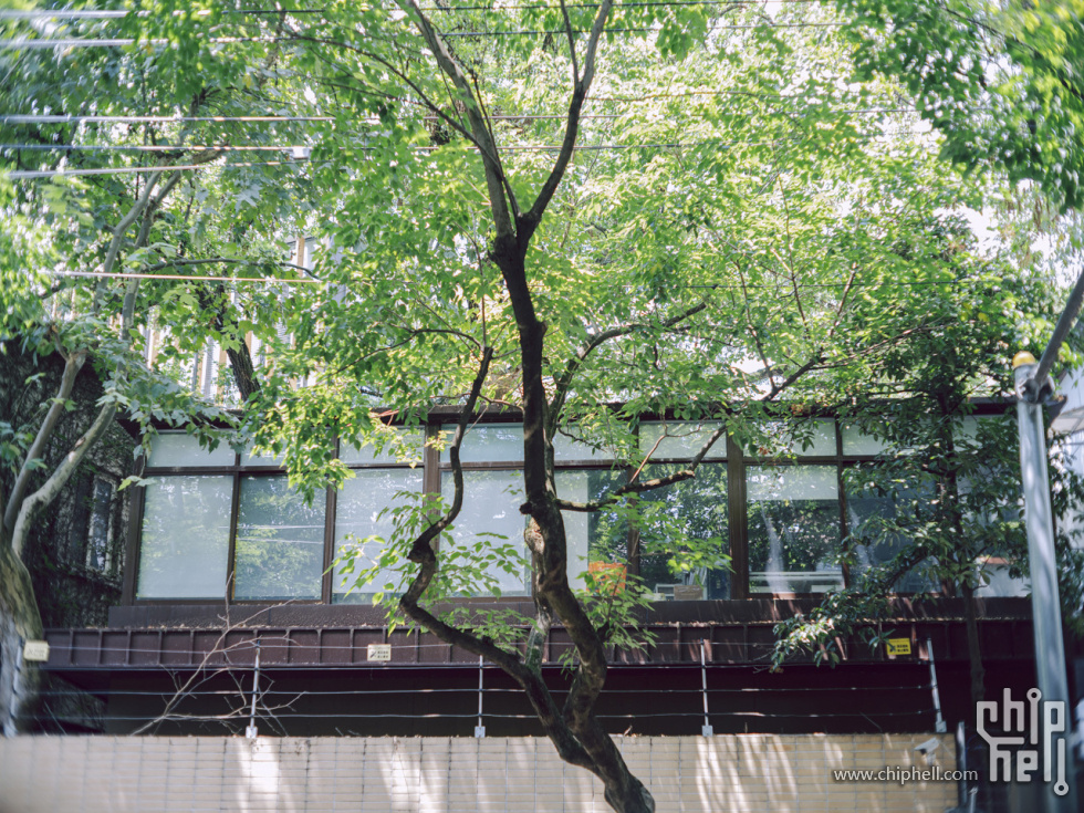 DSCF2203.jpg