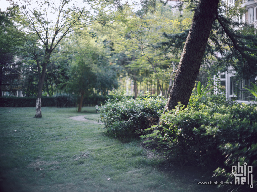 DSCF2253.jpg