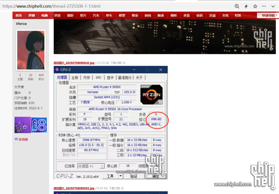 盗用信息帖CPU-Z截图.png