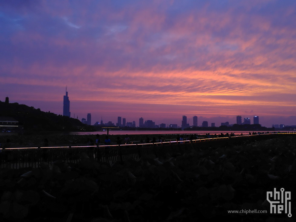 DSCF0534.jpg