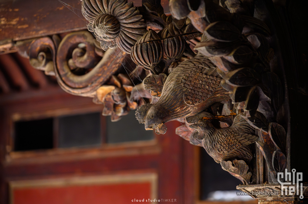 _CTK7483-已增强-降噪.JPG