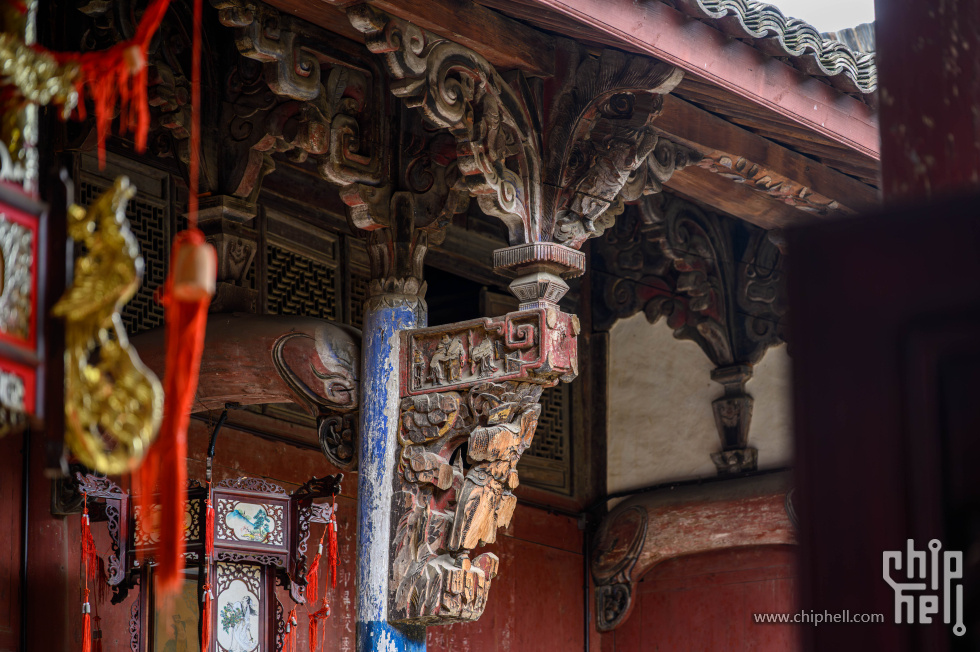 _CTK7399-已增强-降噪.jpg