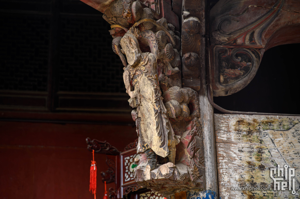_CTK7401-已增强-降噪.jpg