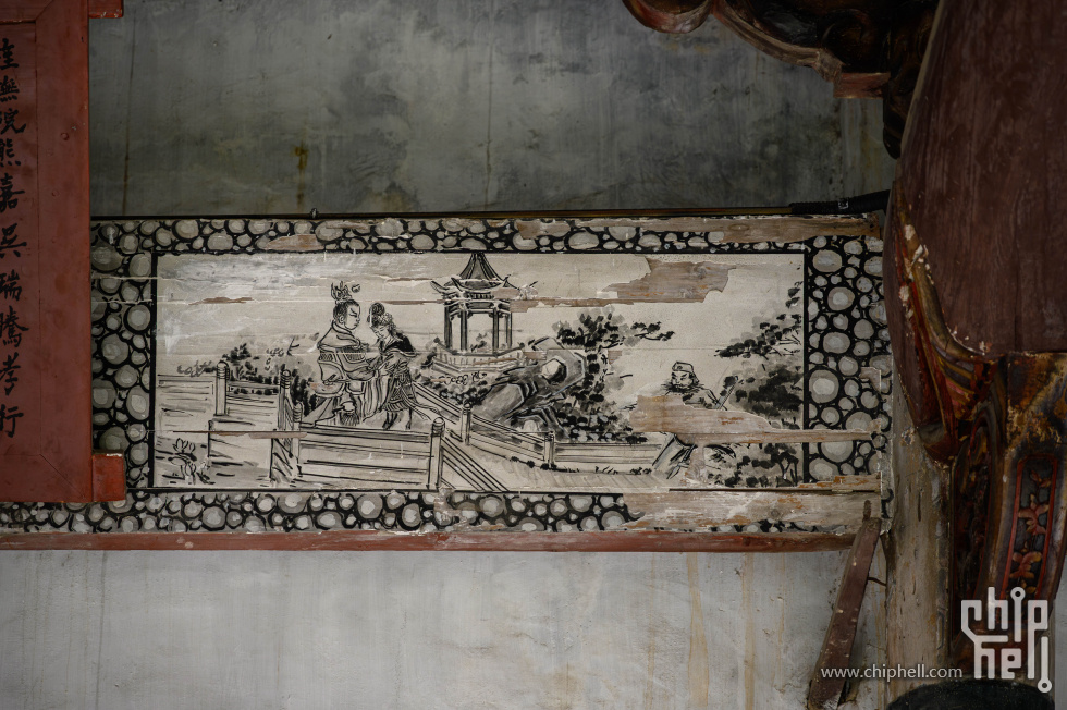 _CTK7364-已增强-降噪.jpg