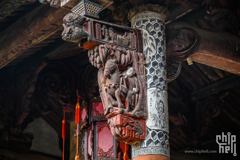 _CTK7388-已增强-降噪.jpg