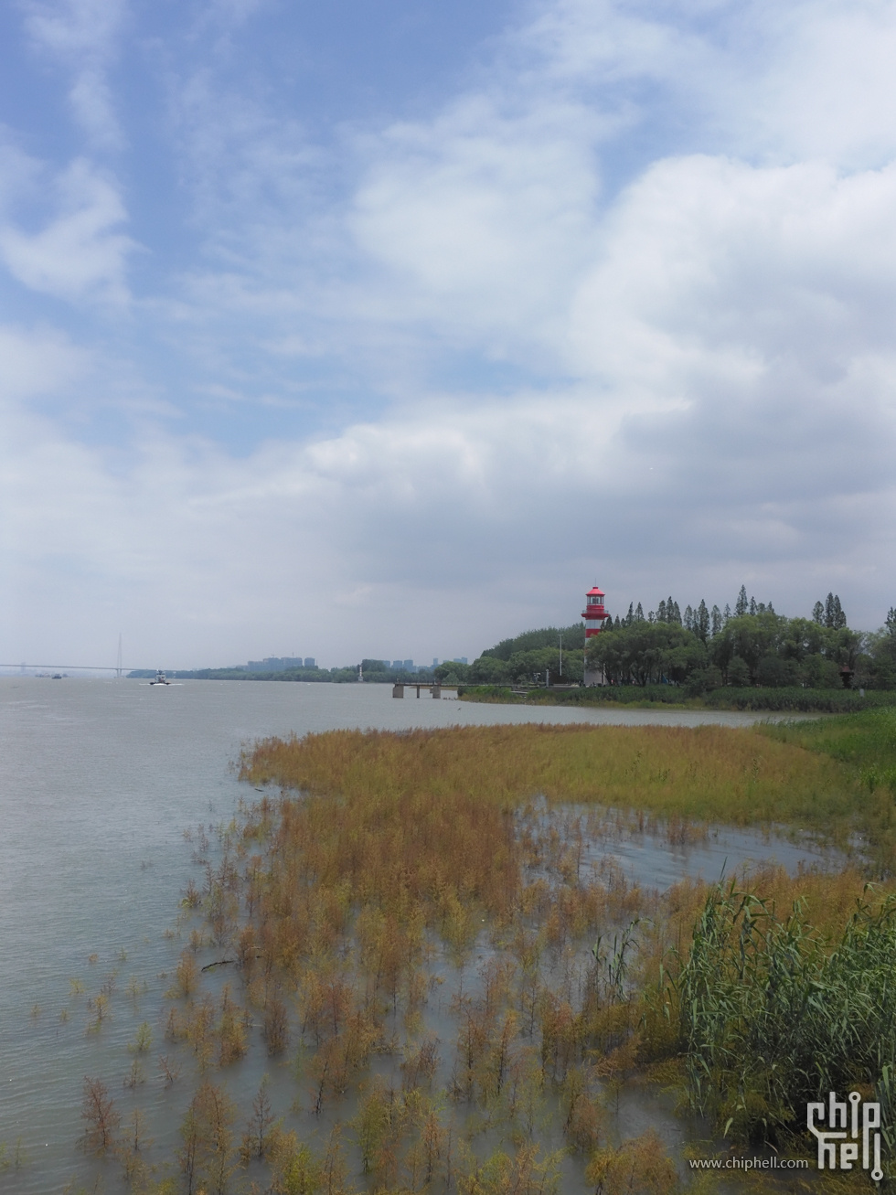 DSCF0595.jpg
