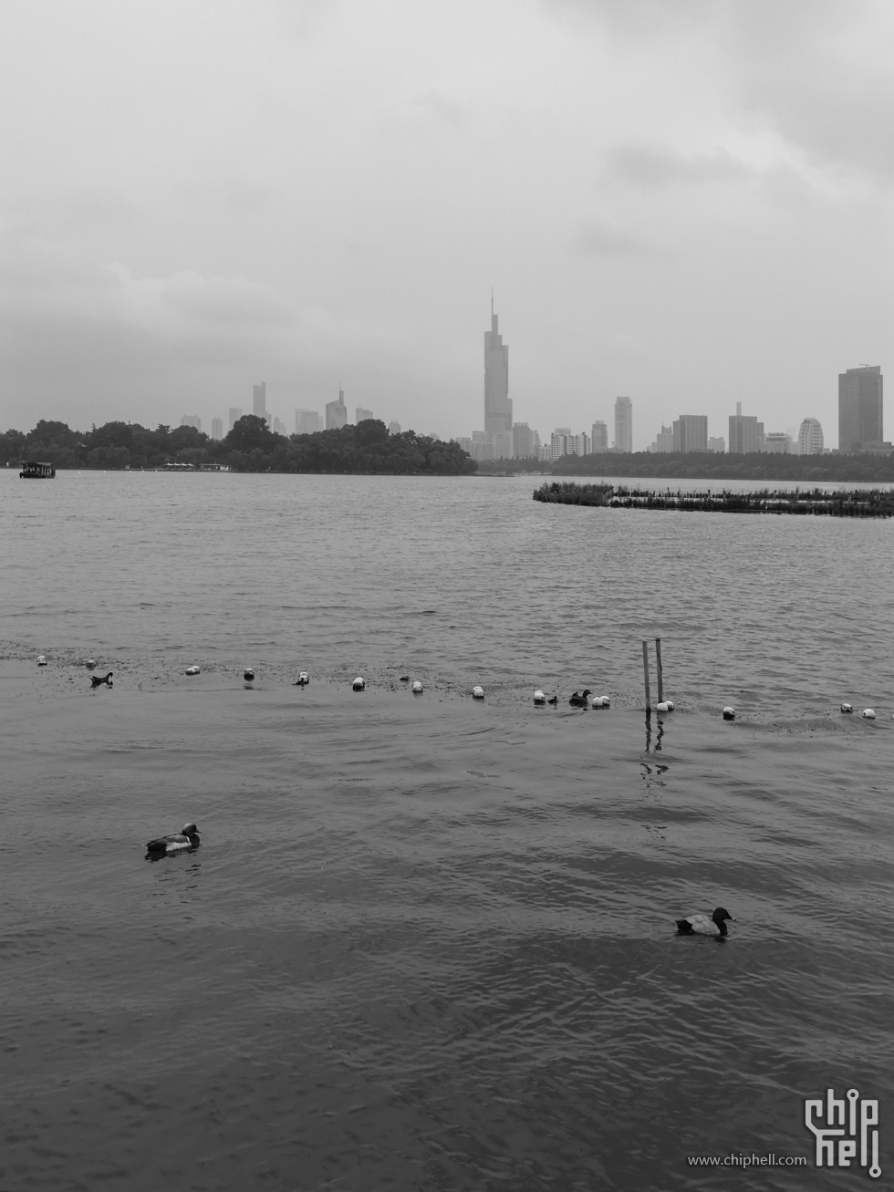 DSCF0467.jpg