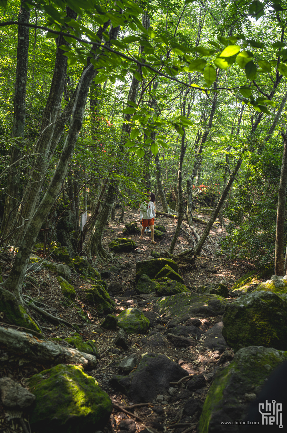 L1006676.jpg
